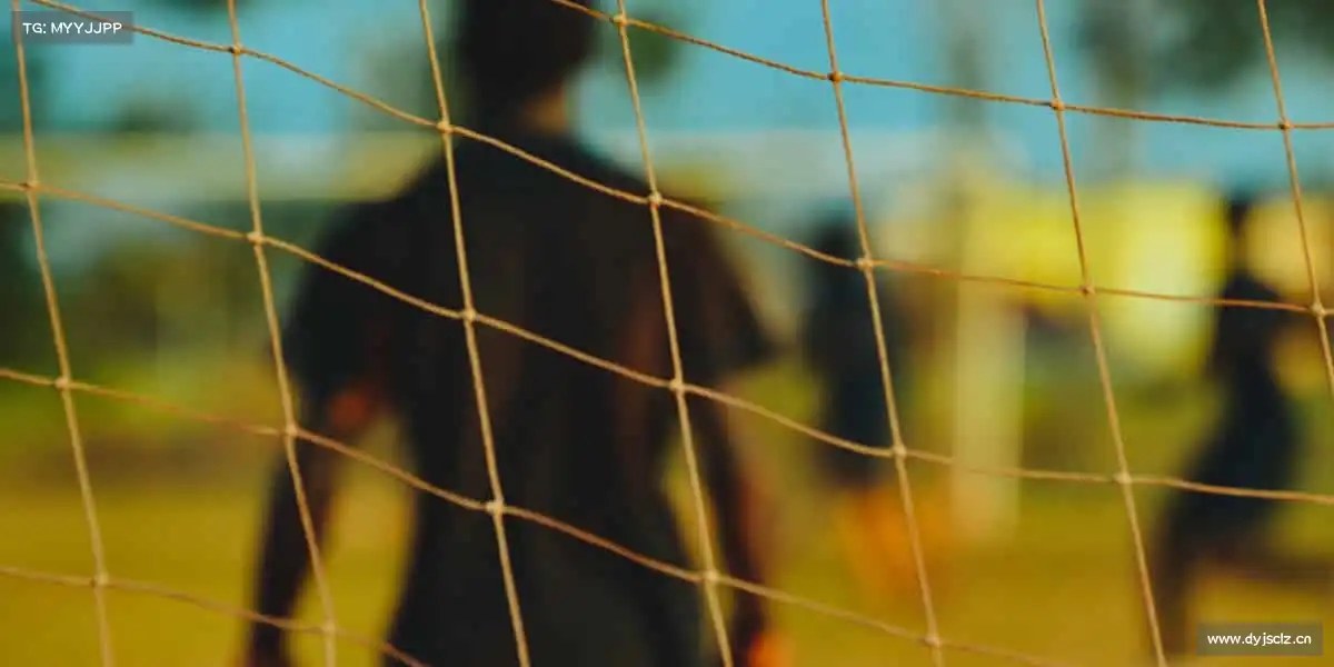 为什么选择我们